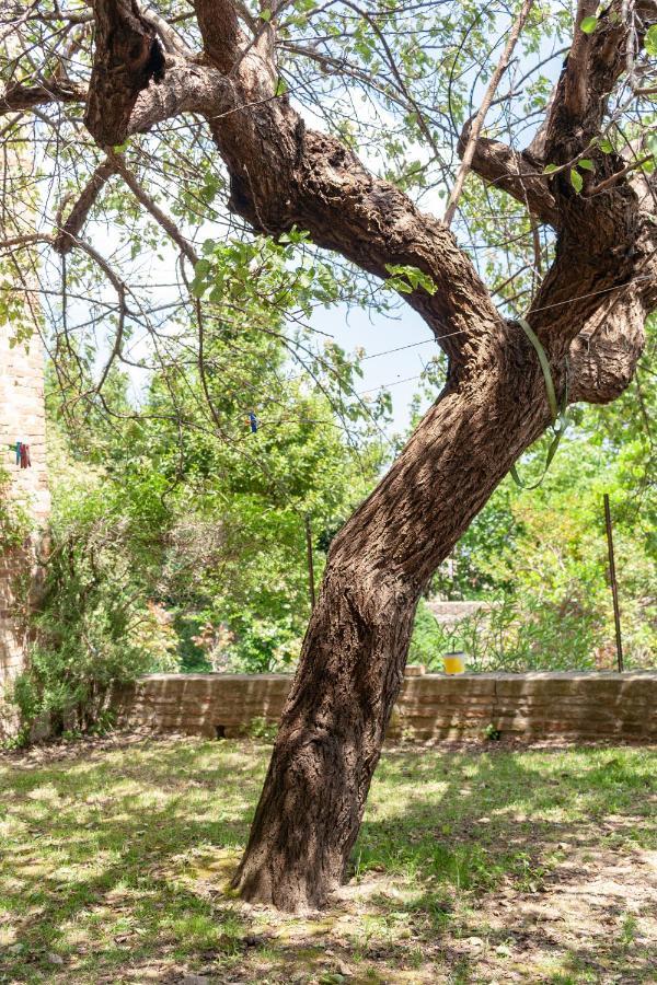 Urbino Experience Daire Dış mekan fotoğraf